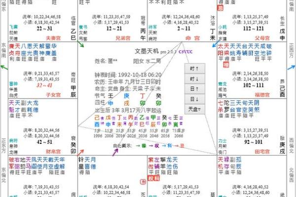 紫薇斗数命宫天魁星