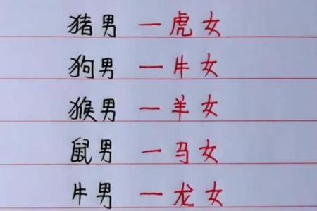双猪双羊算命详解