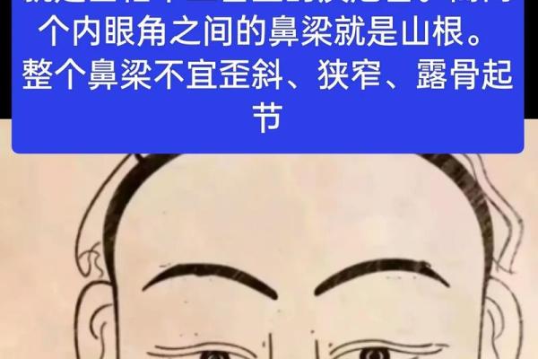 紫微斗数诸星落诸宫之,贪狼星:阳木疾厄宫详解 紫微斗数诸星落诸宫之,贪狼星:阳木疾厄宫详解