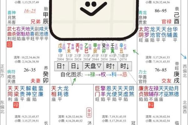 紫薇斗数无命格