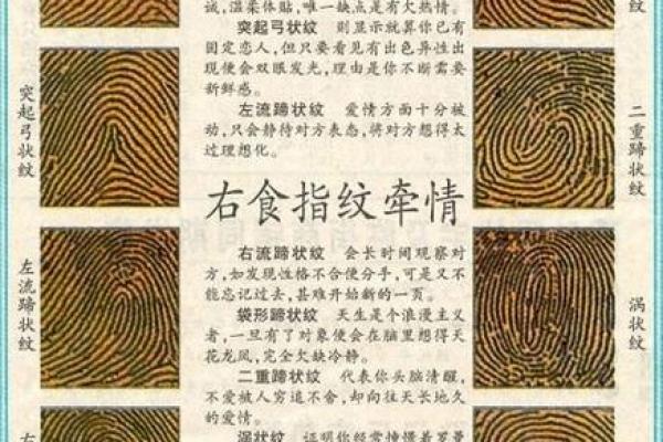 手相指纹算命图解