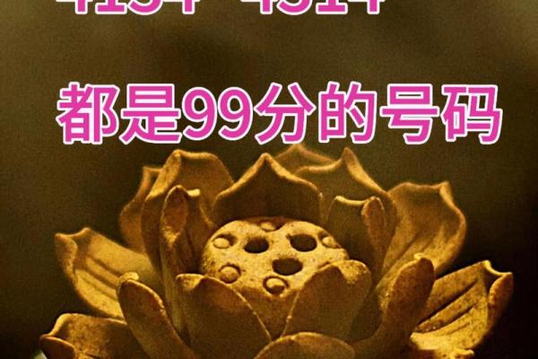 易经手机号码吉凶测试