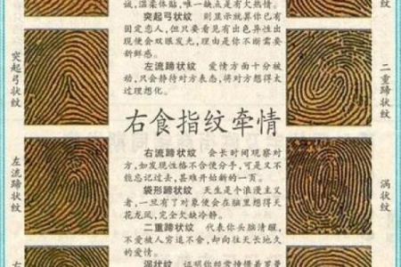 手相指纹算命图解