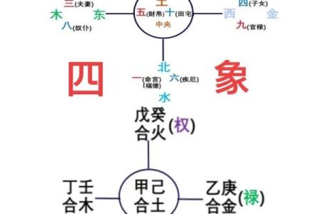 紫微斗数之四化论断法详释：　河洛基础