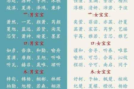 晚上1点出生的属蛇男孩如何起名，宜用什么字姓名