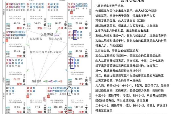 怎么排紫薇斗数