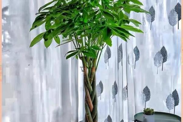 旺事业的风水,布置得当有助益 旺事业的风水,布置得当有助益