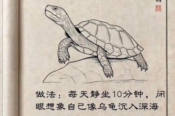 传统八字 传统八字