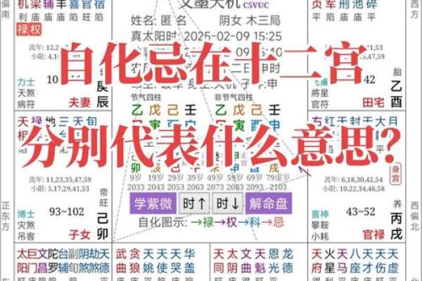 八字纯阳之人不宜算命是为什么 八字纯阳之人不宜算命是为什么