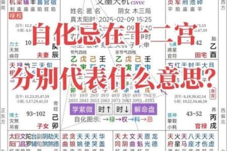 八字纯阳之人不宜算命是为什么