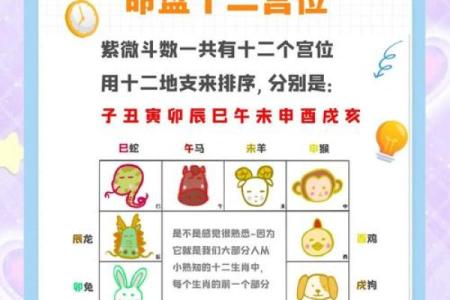 紫微命盘和紫薇斗数盘