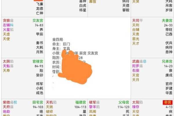 紫薇斗数在哪里学