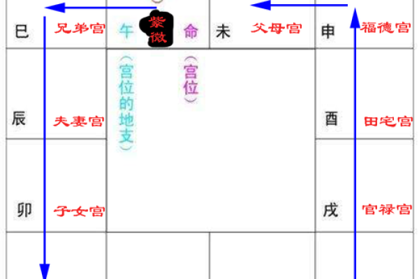 紫薇斗数宫主 紫薇斗数宫主