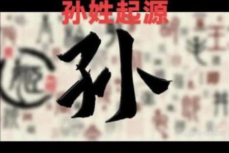 姓权的名人-姓名学-华易算命网姓名