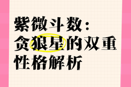 紫微斗数之迁移宫与诸星，贪狼星在迁移宫是什么意思？
