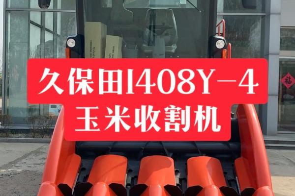 什么样的八字能成为鲜肉收割机