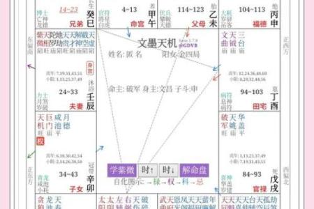 紫薇斗数中临官
