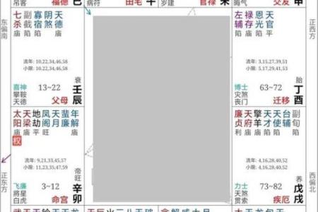 东有小山紫薇斗数7