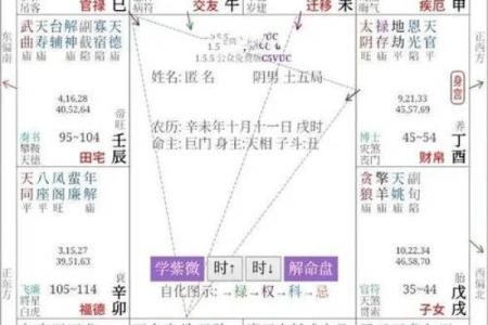 紫微斗数诸星落诸宫之：天梁星官禄宫详解
