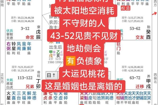 紫薇命理斗数app