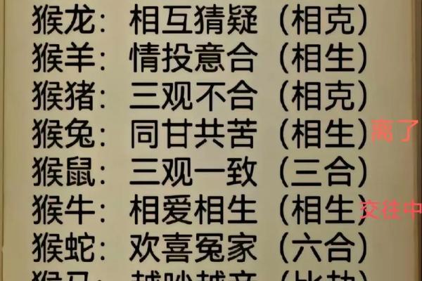 87兔和92猴的姻缘如何 87兔和92猴的八字合不合