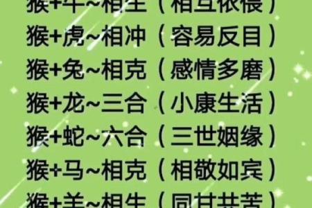 87兔和92猴的姻缘如何 87兔和92猴的八字合不合